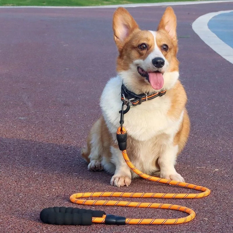 Reflective Dog Leash Strong Nylon Dog Leash For Large Medium Small Dog Leash Ropes Pet Accessories Golden Retriever Labradors